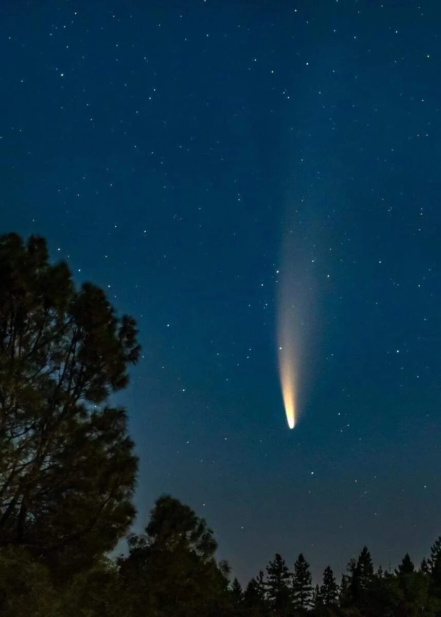 Когда можно увидеть комету в москве. Комета NEOWISE. Кометы астрономия. Комета 2023. Комета фото.