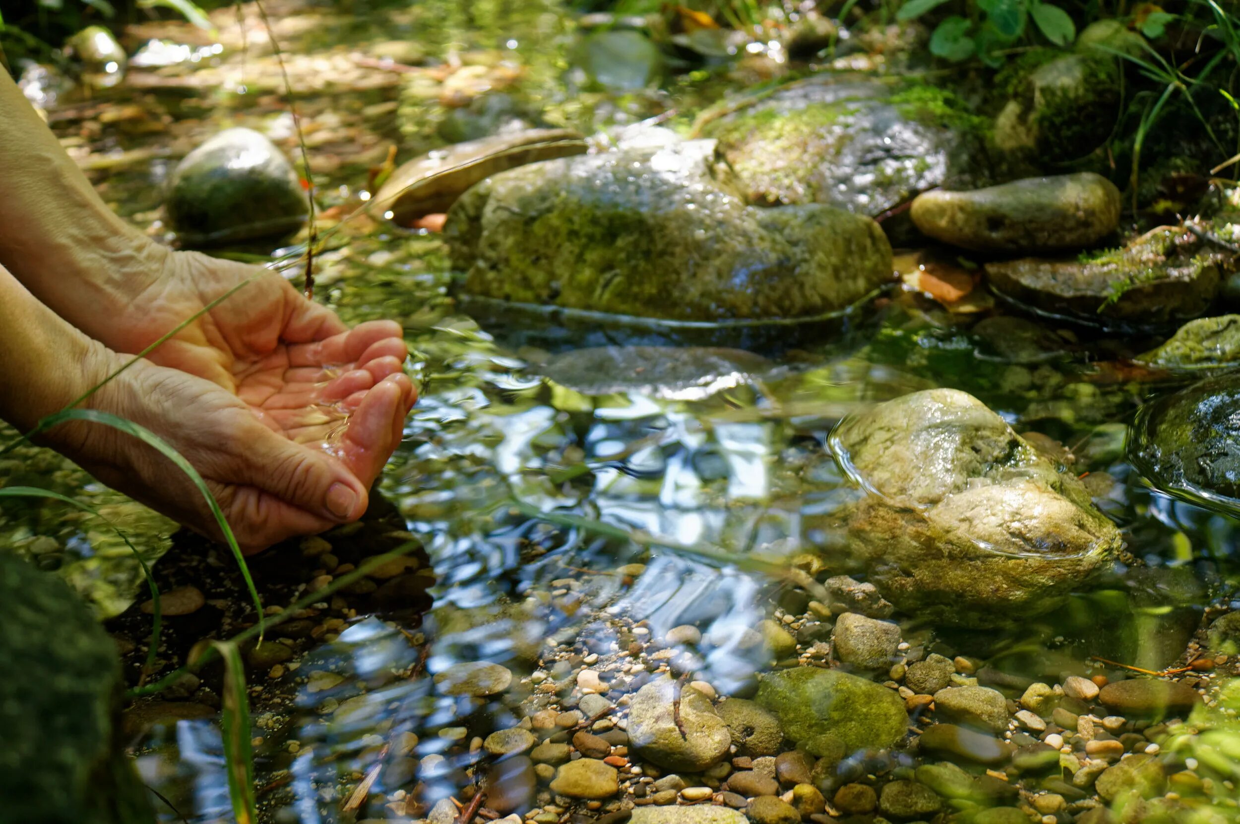 Чистый Родник. Ручей вода питьевая. Вода из ручья. Пить из ручья.