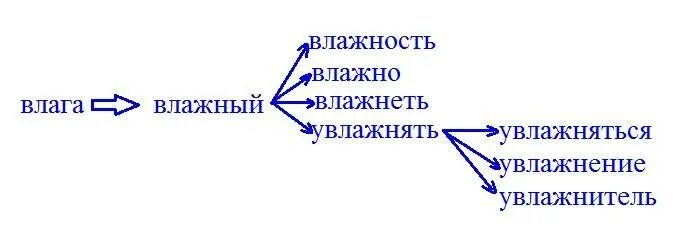 Как правильно мокро или мокро