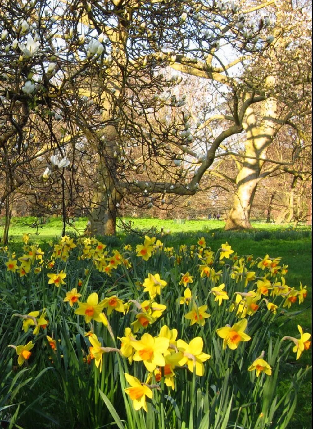 Spring has to be the