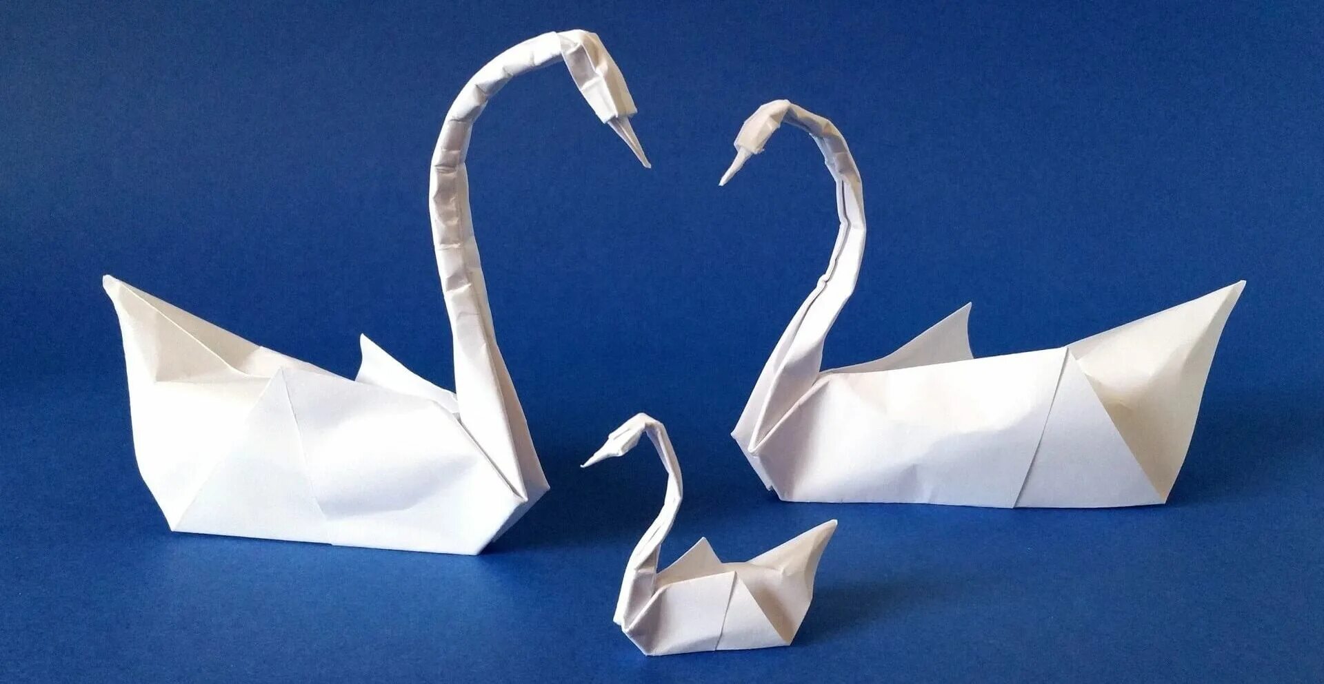 Пошаговое лебедя оригами. Лебедь шипун оригами. Лебедь оригами Триколор. Оригами лебедь и Журвлик. Оригами лебедь из бумаги для детей.