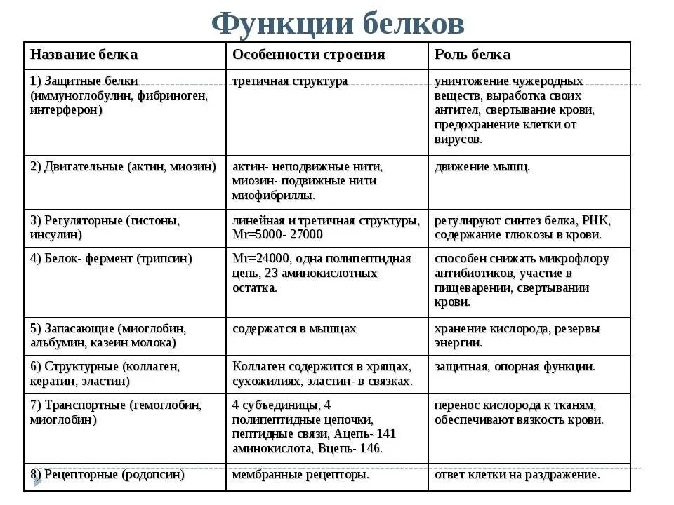 Какие функции белков жиров и углеводов. Функции белков жиров и углеводов таблица. Белки жиры и углеводы таблица вещество строение функции. Функции белков и углеводов. Белки особенности строения.