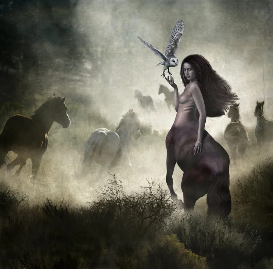 Стрелец образ. Макияж стрелец образ для фотосессии. Стрелец девушка. Стрелец образ. Стрелец девушка.