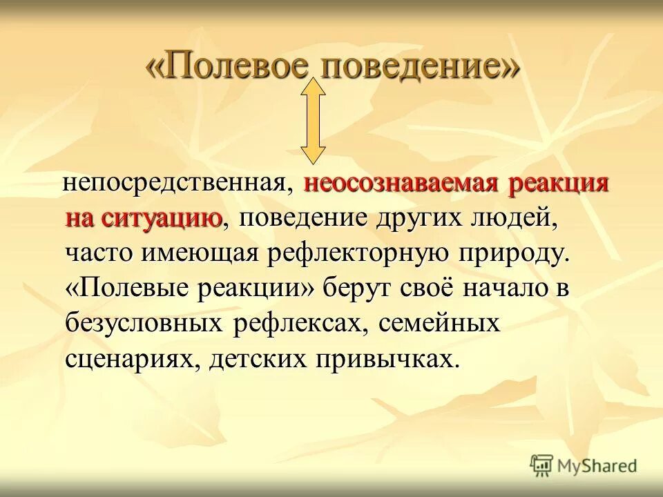 Полевое поведение это. Полевое поведение это. Теория полевого поведения. Полевое поведение примеры. Полевое поведение.