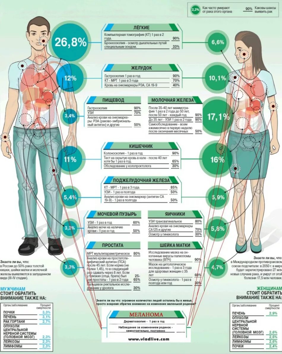 Какие обследования нужно пройти. Инфографика по онкологии. Инфографика заболевания. Инфографика здоровье. Как часто можно проверять