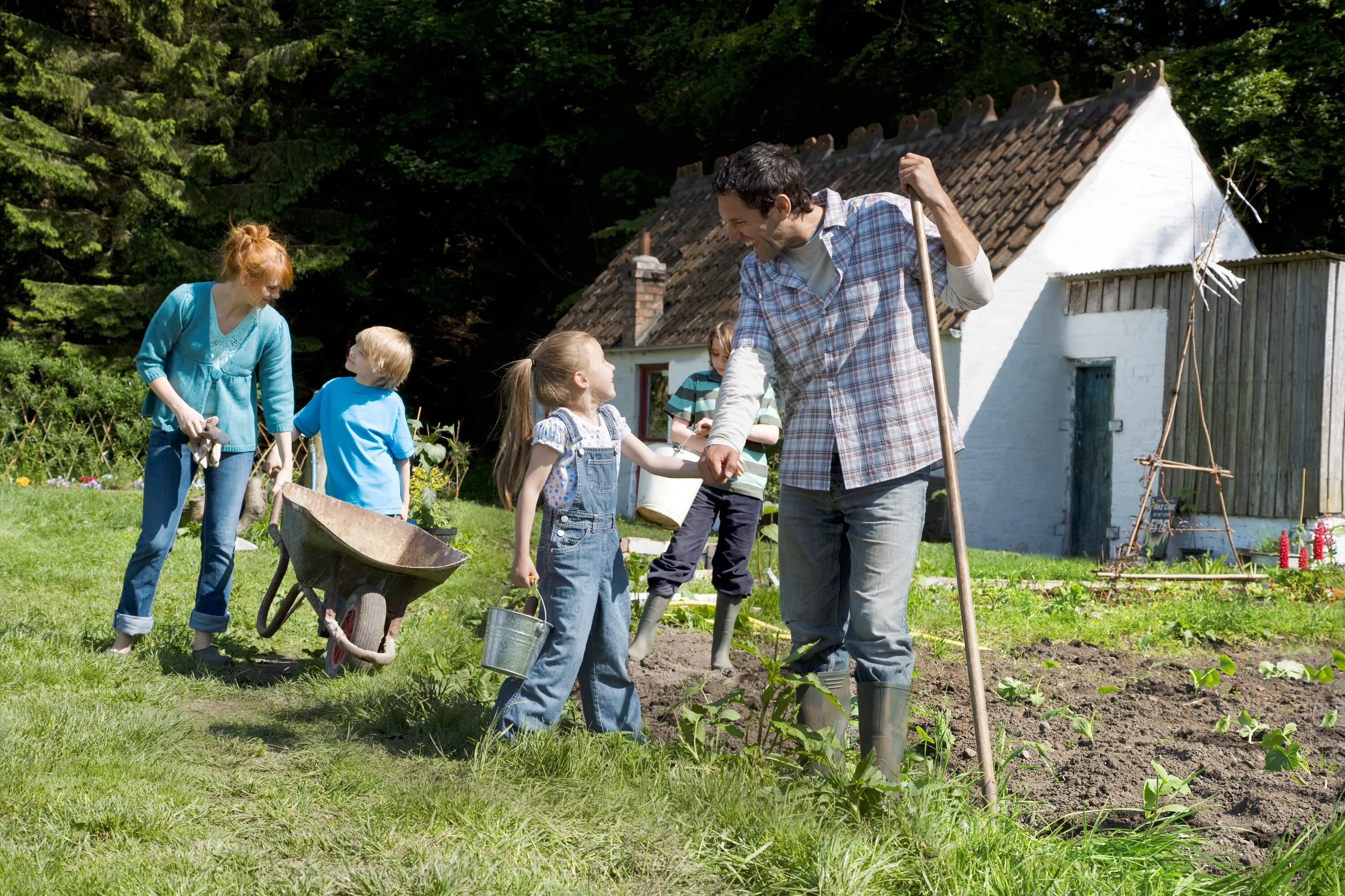 Вся семья работает в школе. Совместный труд в семье. Семья на огороде. Дети помогают в огороде. Семья трудится.