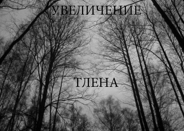 Все тлен. Жизнь тлен. Тлен картинка. Вечность и тлен алекс. Вечность и тлен алекс.