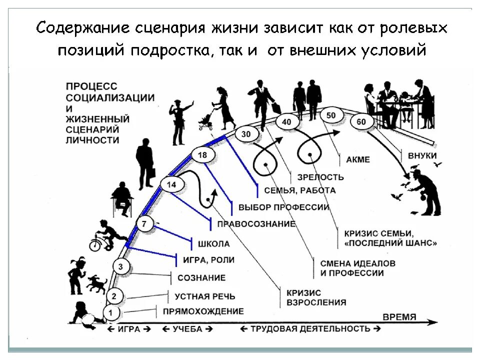 Опишите насколько. Схема развития личности. Фазы развития человеческой личности. Схема формирования личности человека. Стадии личностного роста.