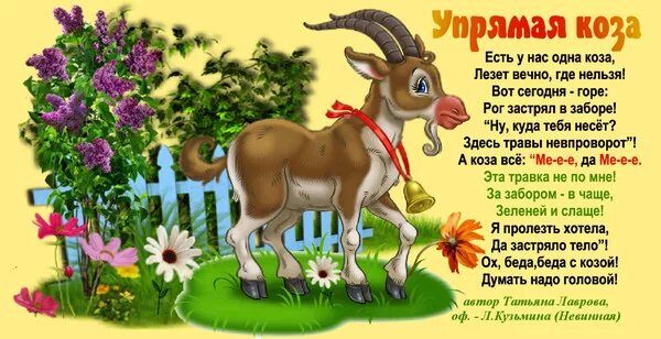 Парень козёл. Белый козел. Коза не грозила я уходила. Коза. Привет коза.