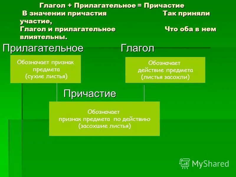 Общее значение причастия. Общее значение причастия