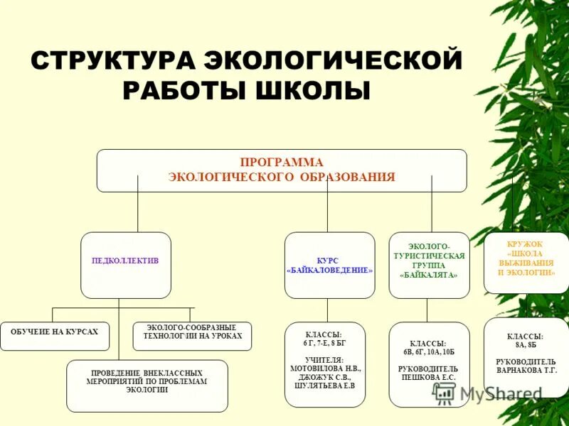 Экологическое образование в рф