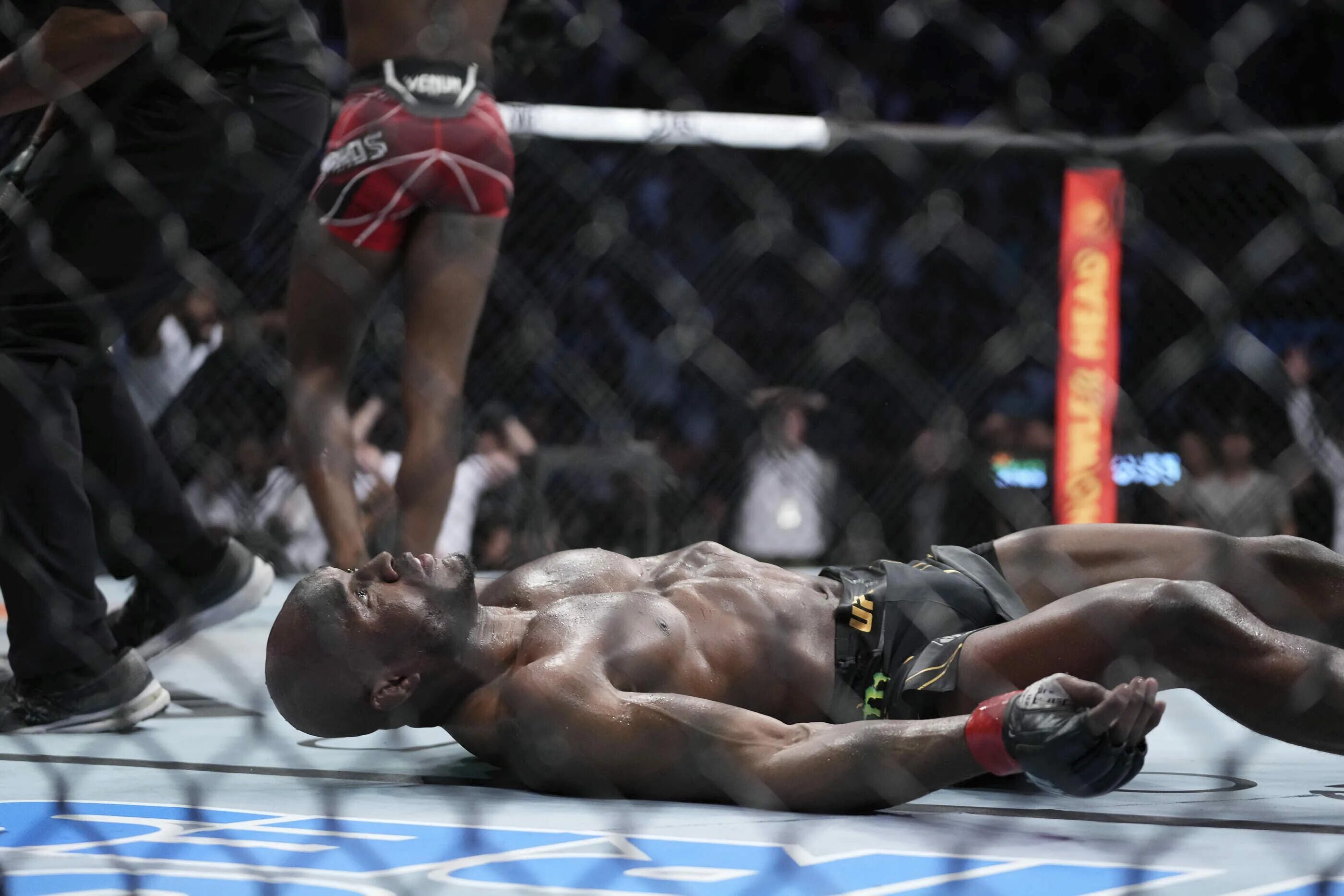 Эдвардс статистика боев. Ufc усман эдвардс.
