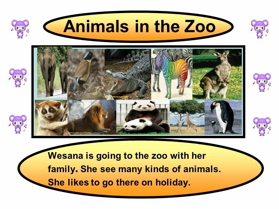 Zoos Pros and cons. At Zoo или in Zoo. Pros and cons of keeping animals in Zoos. Animals in the Zoo.