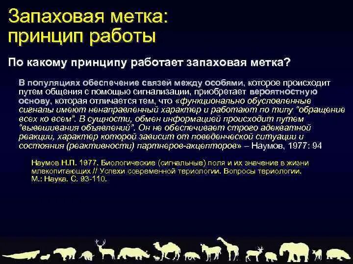 Териология это наука изучающая. Биологическое сигнальное поле. Интересные факты о териологии. Хемокоммуникация Запаховая коммуникация. Териология это кратко.