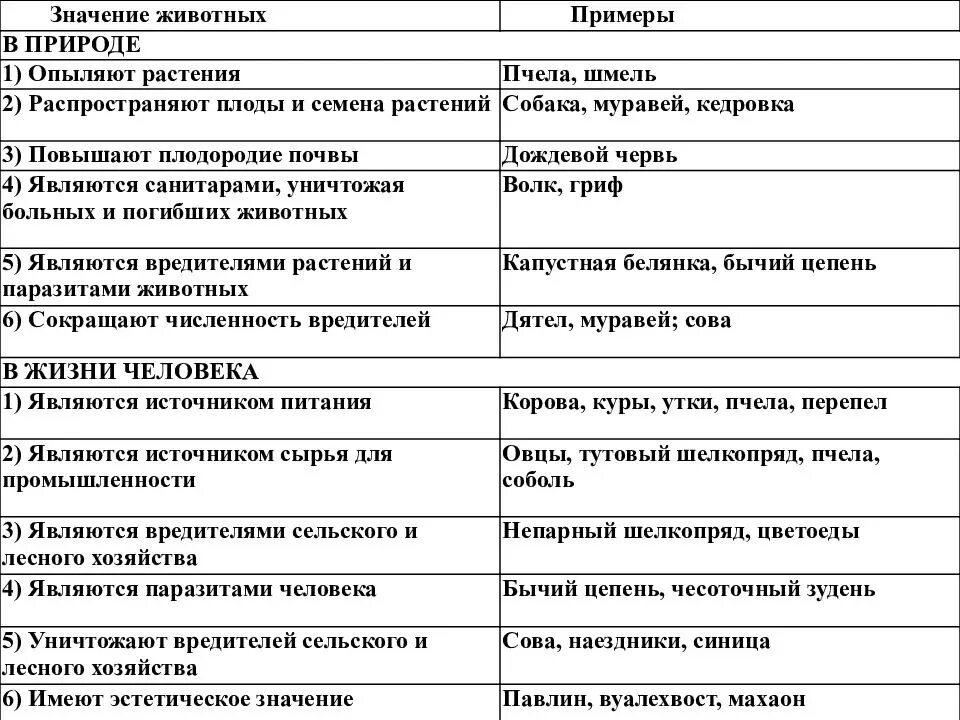 Значение сообщества животных для человека. Значение животных в природе и жизни человека 5 класс биология таблица. таблица по биологии значение животных в природе и жизни человека 7. значение животных в природе и жизни человека. значение животных в природе и жизни человека таблица.