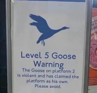 Warning level