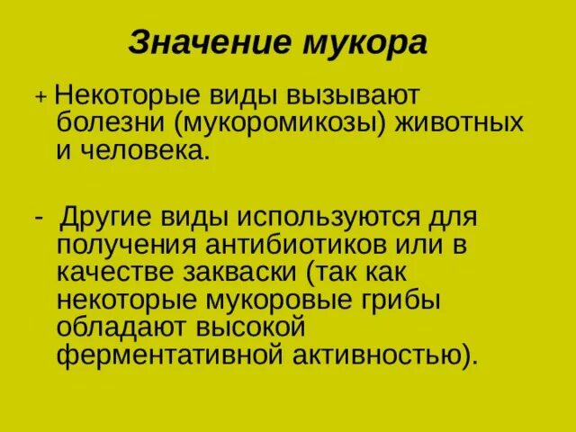 Каково значение гриба мукора