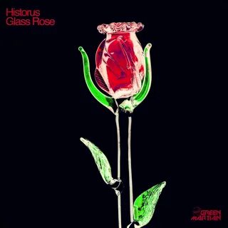 Rose follow
