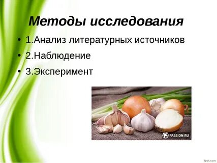 Овощи содержащие повышенное количество фитонцидов