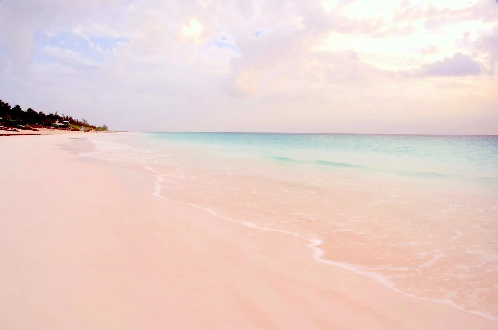 Plage sugar