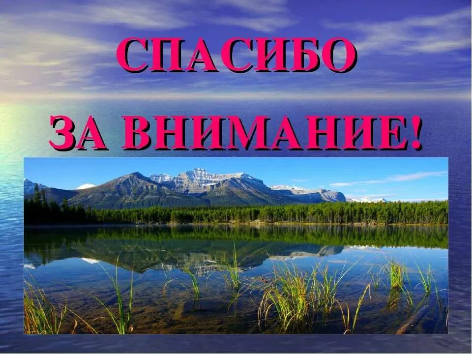 Проект заповедники россии 4 класс. Спасибо за внимание заповедник. Национальные парки России проект. Заповедники России 4 класс окружающий мир. Национальные парки России проект 4 класс окружающий мир.