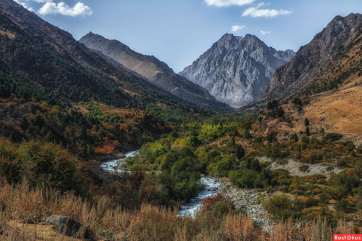 Ущелье барскоон киргизия. Иссык-ата киргизия. Григорьевское ущелье иссык-куль. Семеновское ущелье киргизия. Ущелье иссык.