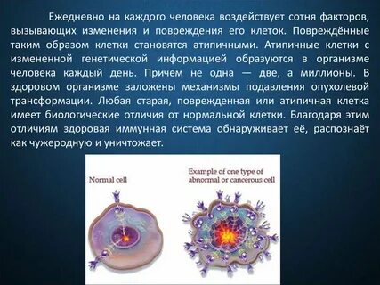 Становится клетками