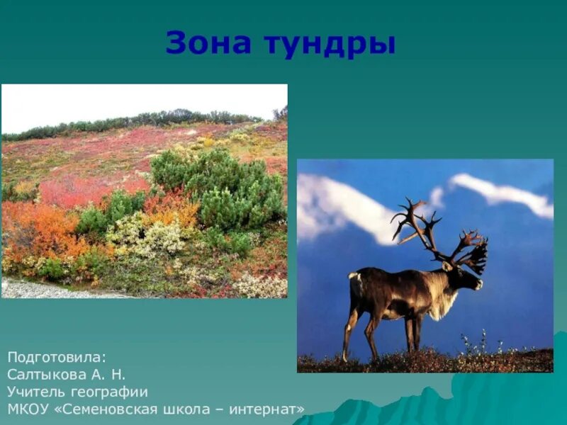 Площадь тундры. Зона тундры. Тундра география. Тундра природная зона. Осадки в зоне тундры