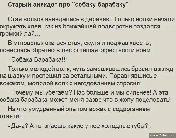 собака барабака анекдот холодные. песня про собаку текст. собака барабака анекдот. собака барабака мультфильм. подарите мне собаку барабаку текст.