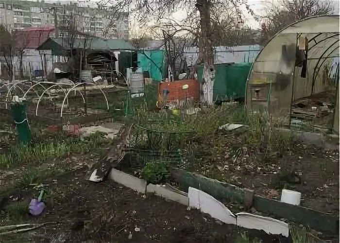 Любитель-2 сад челябинск. Сад любитель копейск. Снт любитель 2 челябинск. Снт любитель челябинск. Любитель-2 сад челябинск.