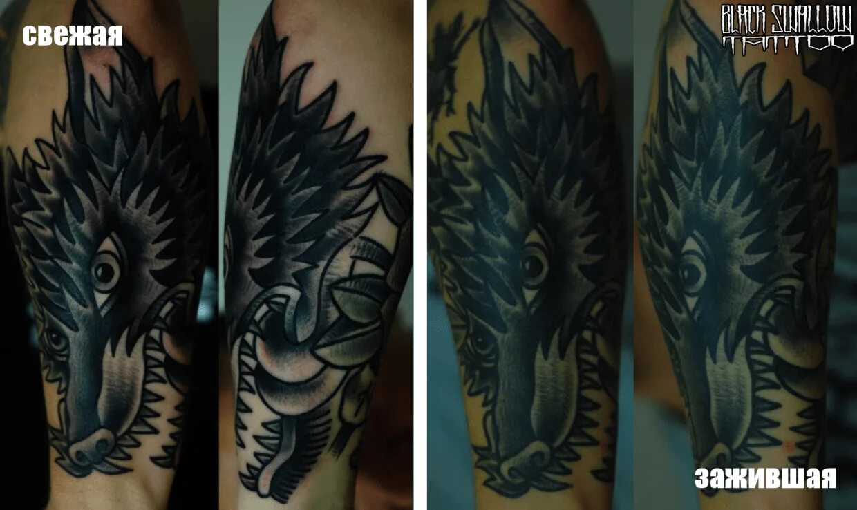 как правильно заживлять тату