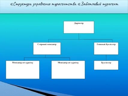 Организационная структура турагентства