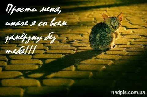 Мило мило красиво уходила