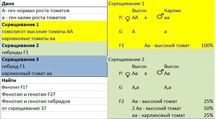 У томатов ген высокого роста доминирует над геном. У томата ген высокого роста доминирует над геном карликовости. У пшеницы ген карликового роста доминирует над геном. У томатов нормальная высота растений доминирует.