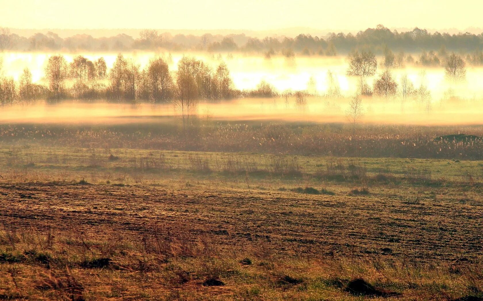 Пелена на поле. Осеннее поле. Туманное утро. Степь поздней осенью. Поле в тумане.