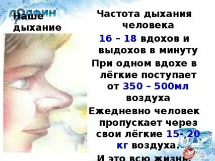 Сколько выдохов делает в минуту