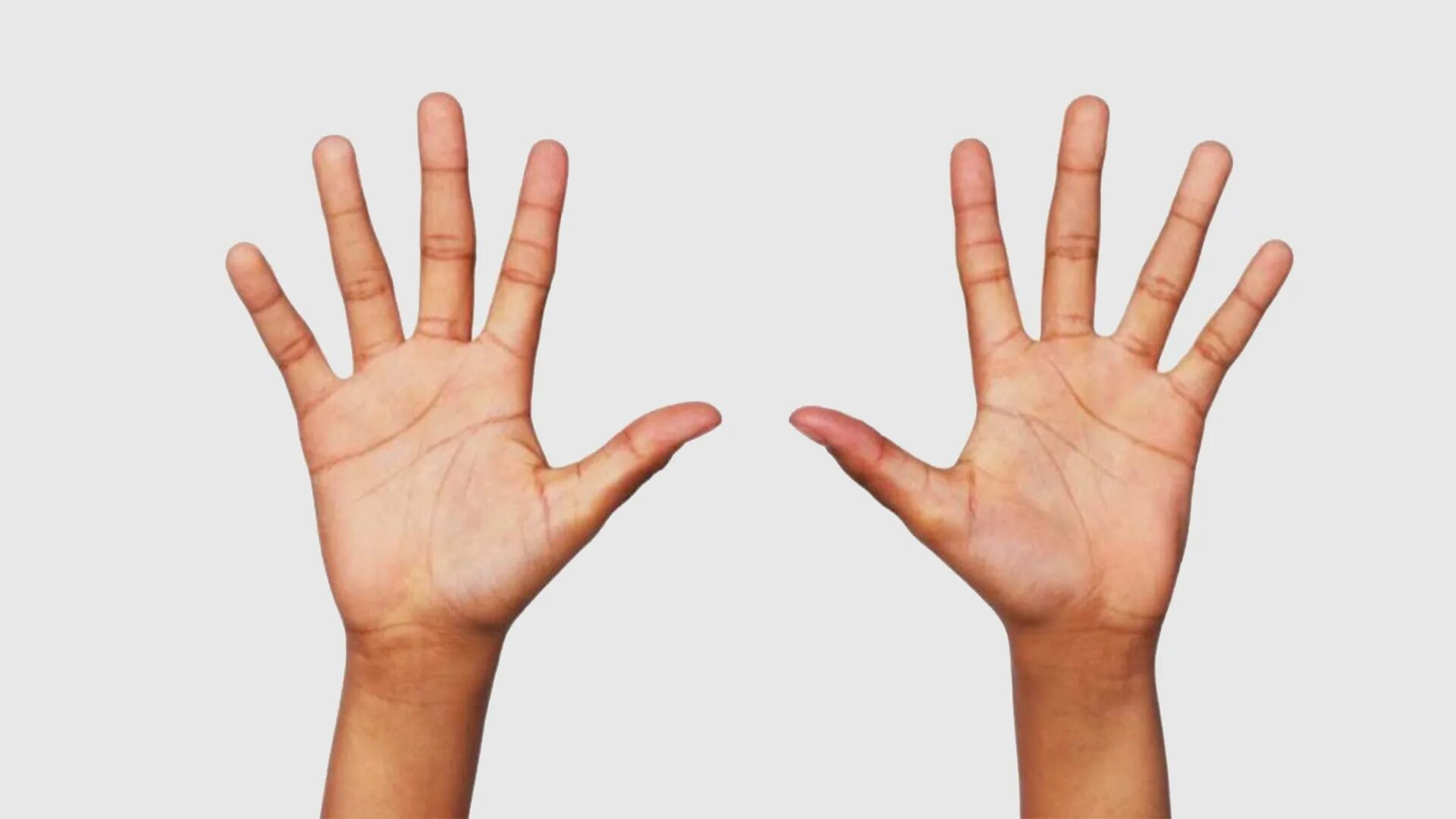 Руки каковы. Руки каковы. Две ладони. Руки каковы. Ладонь человека.