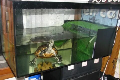 Аквариум для водной черепахи