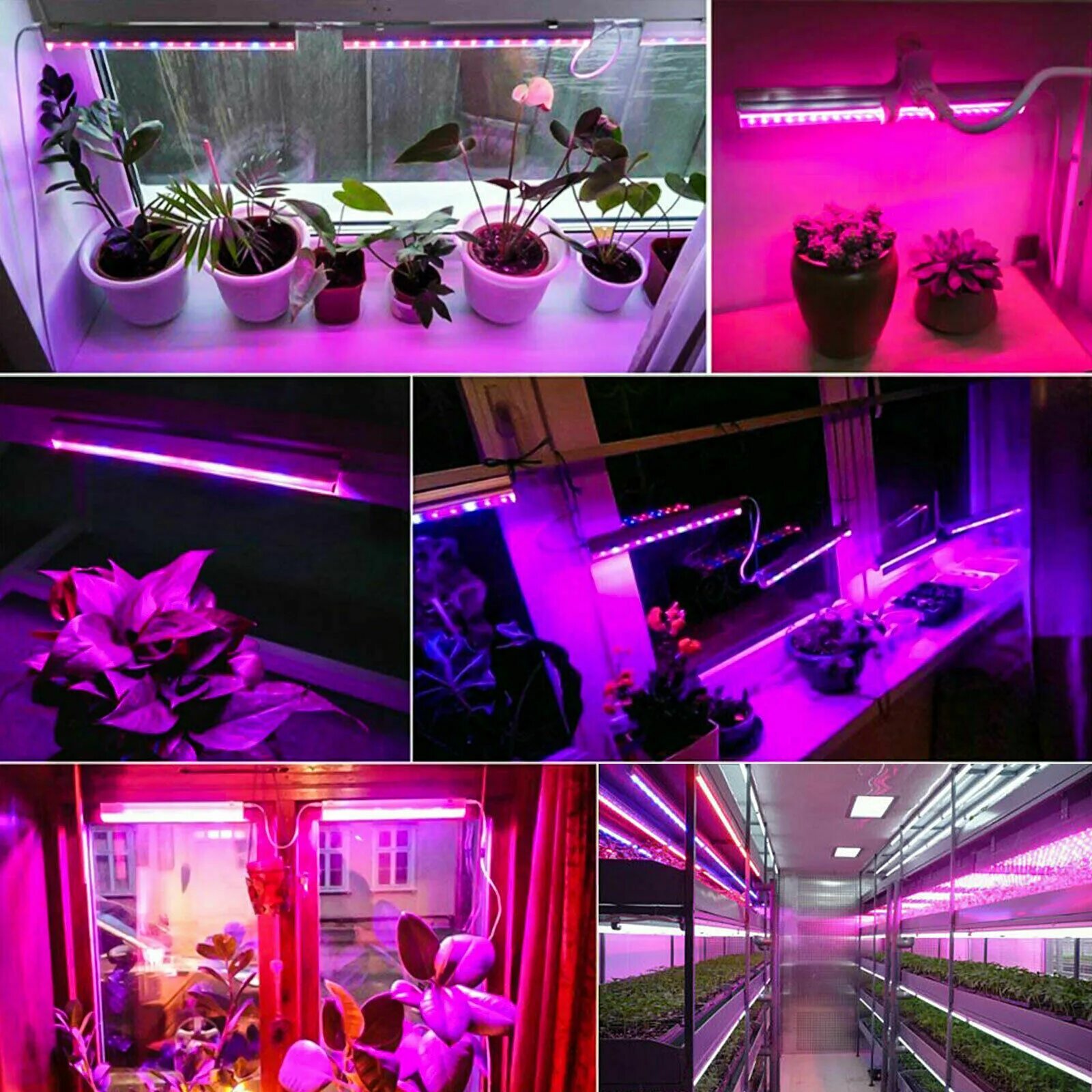 Фитолампа led grow Light. Фитолампа f4054. Фитолампа Гелиос-15. Фитолампа для растений 60w led. Лента полного спектра