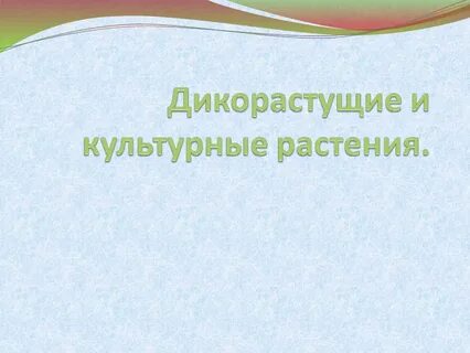 Дикорастущие деревья кустарники и травы