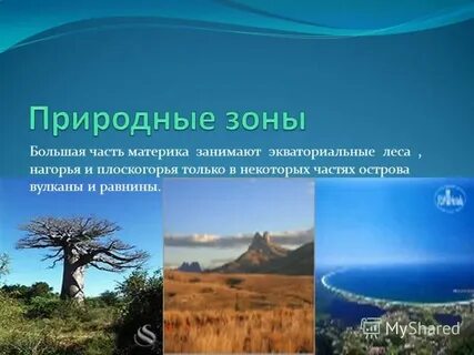 Мадагаскар какой пояс
