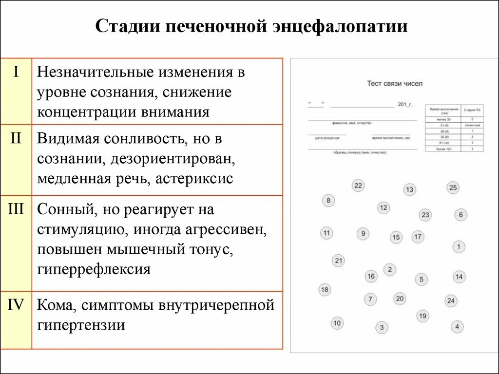 Стадии печеночной энцефалопатии. Тесты для оценки печеночной энцефалопатии. Тест связи чисел для определения печеночной энцефалопатии. Тест линий при печеночной энцефалопатии. Числовой тест при печеночной энцефалопатии.