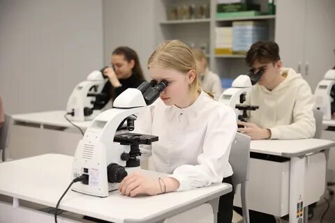 Региональный научно образовательный центр