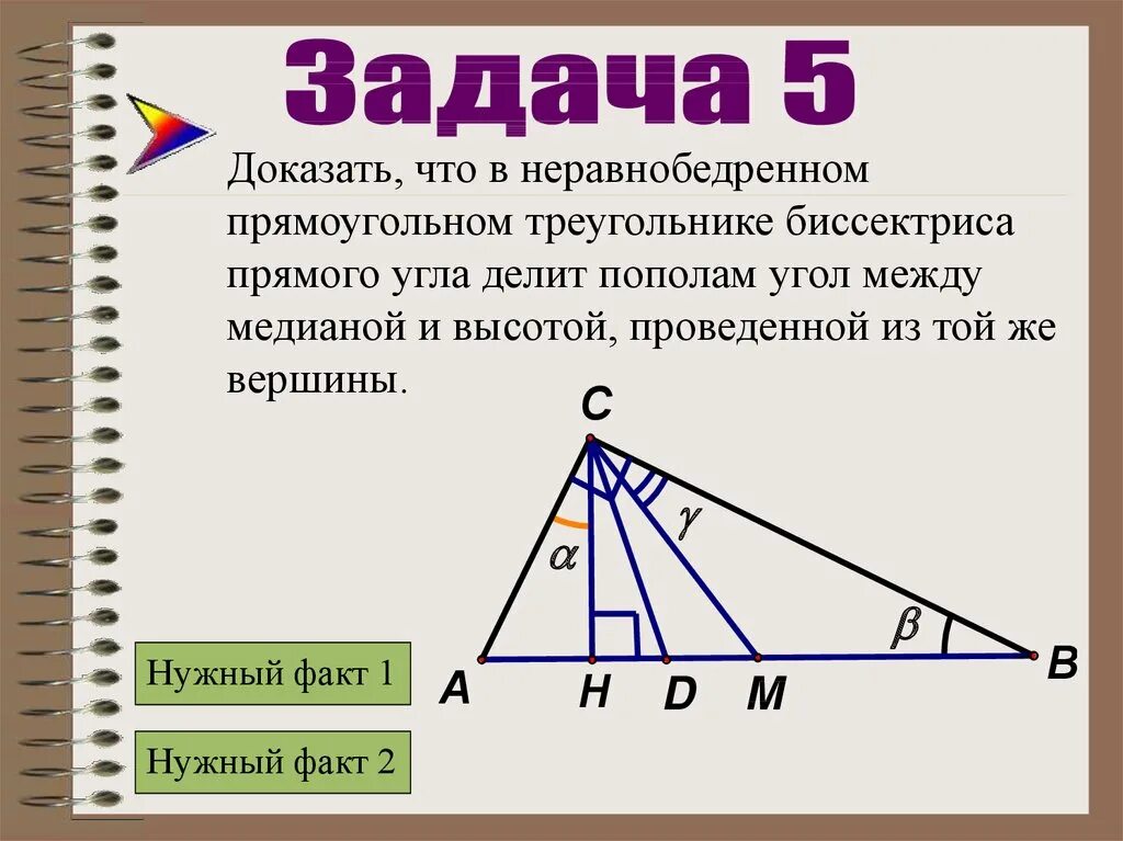 Медиана и биссектриса в прямоугольном треугольнике. Прямоугольный треугольник Медиана биссектриса и высота. Угол между медианой и высотой. Медиана биссектриса и высота треугольника. В прямоугольном треугольнике проведена биссектриса сд