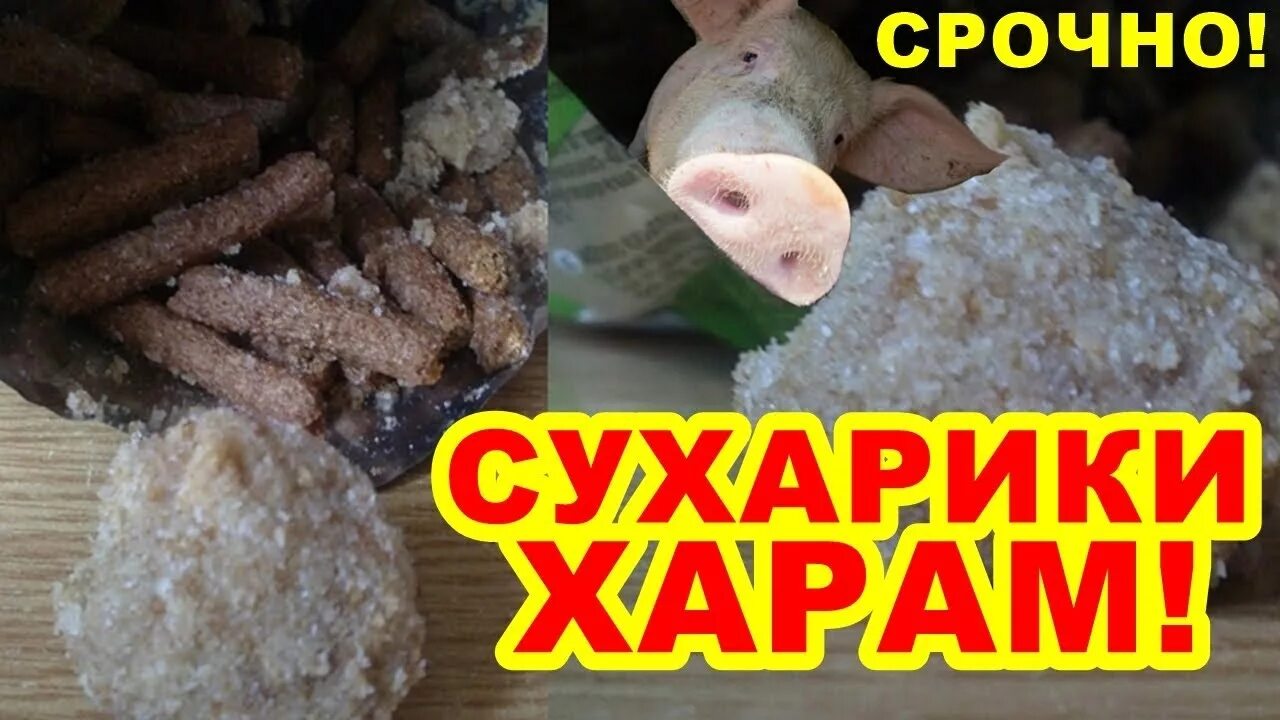 Добавки Халяль и харам. Халяль и харам пища. Харам продукты. Харам сладости.