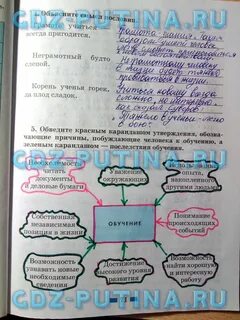 Обществознание 6 класс человек в группе ответы