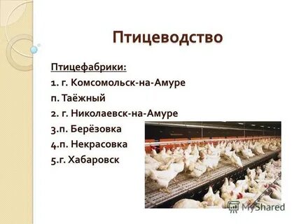 Птицефабрики список
