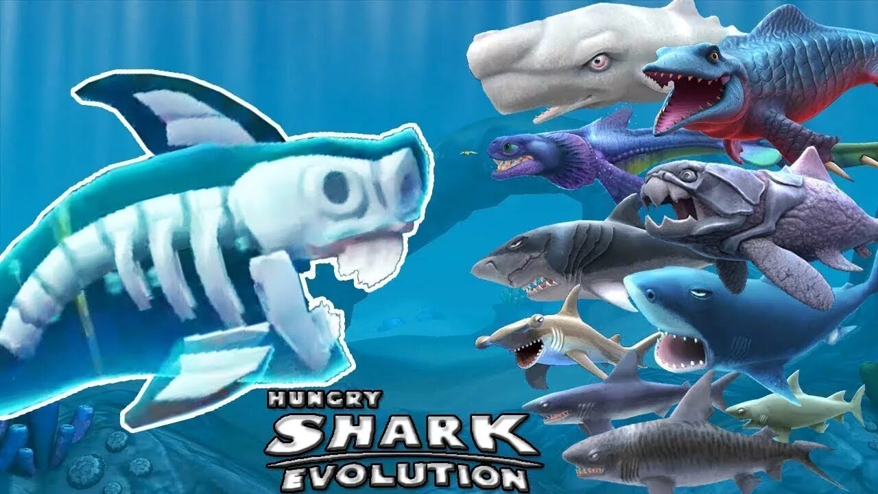 Хангри Шарк Эволюшн. Акула из Хангри Шарк. Игра Shark Evolution. Хангри Шарк Эволюшн игрушки. Shark взлоmанную версию