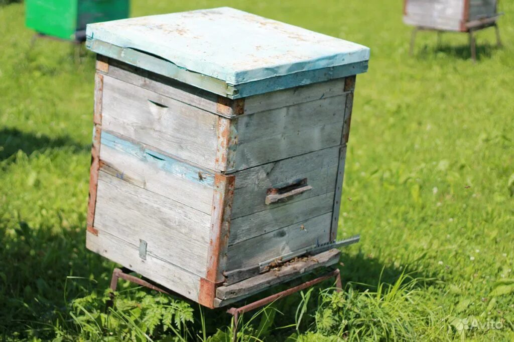 Рогатый улей дадан 8 рамок. Улей рута. Ульи для пчел. Магазин дадан 12. Пчеловодство перегородка снелгрова.