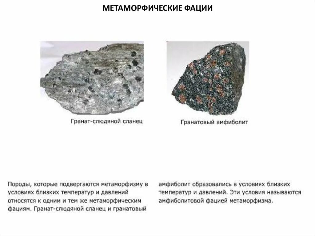 Выбрать метаморфические горные породы. Гранобластовая структура метаморфических пород. Образование метаморфических горных пород. Залегания метаморфических пород. Метаморфические горные породы минералы.